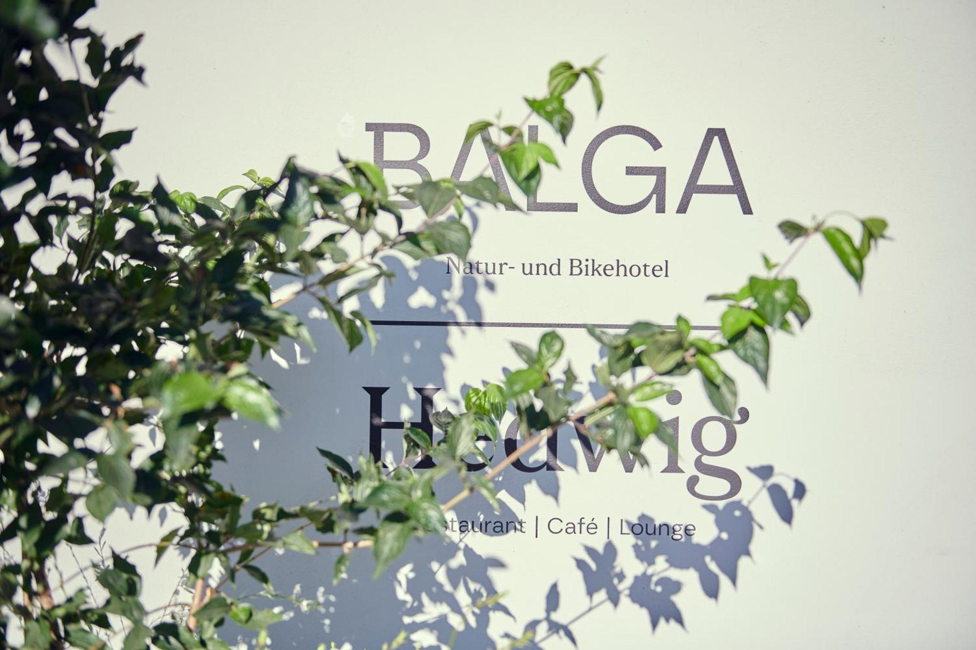 Hotel Balga Natur- Und Bikehotel Balgach Kültér fotó