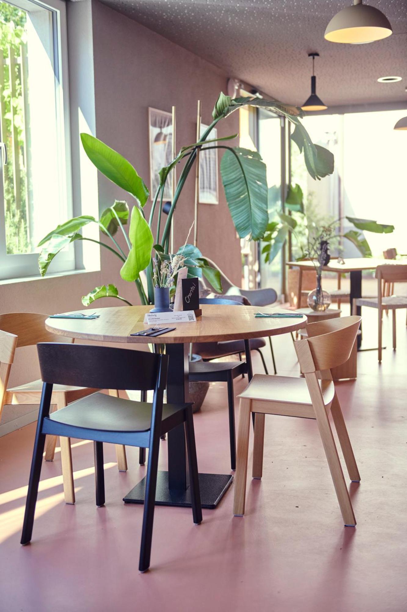 Hotel Balga Natur- Und Bikehotel Balgach Kültér fotó